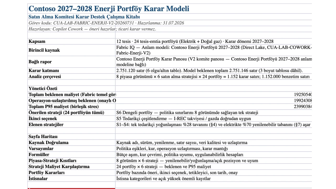 Excel çalışma kitabı dokuz sayfa, 479 canlı formül ve 24 portföy kararı içerir.