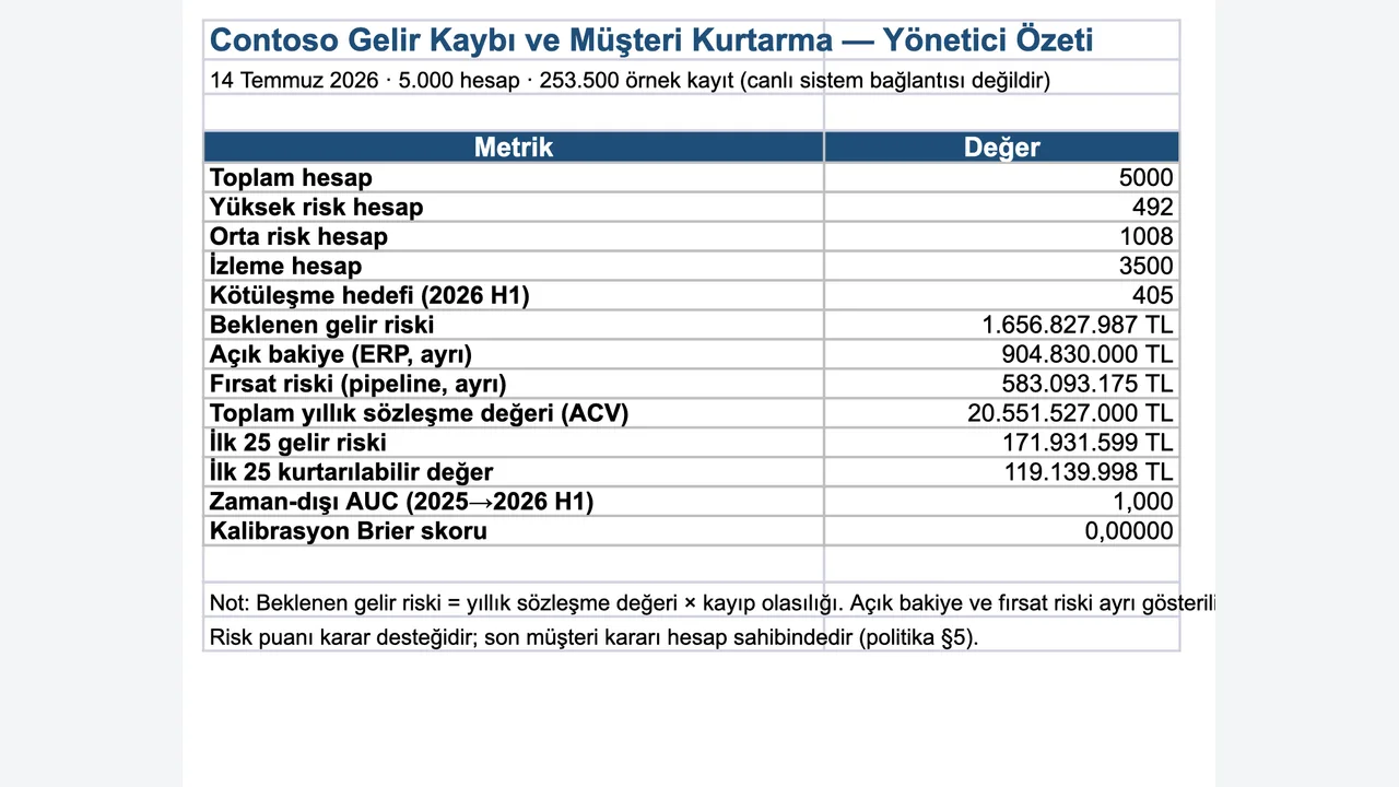 Dokuz sayfalık .xlsx: 5.000 hesap skoru, ilk 25 hesap, taksonomi ve ağırlıklar, gelir etkisi, doğrulama, veri kalitesi denetimi, denetim örneklemi ve yöntem. 10.062 formülün tamamı hesaplandı; hata ve eksik önbellek değeri yok.